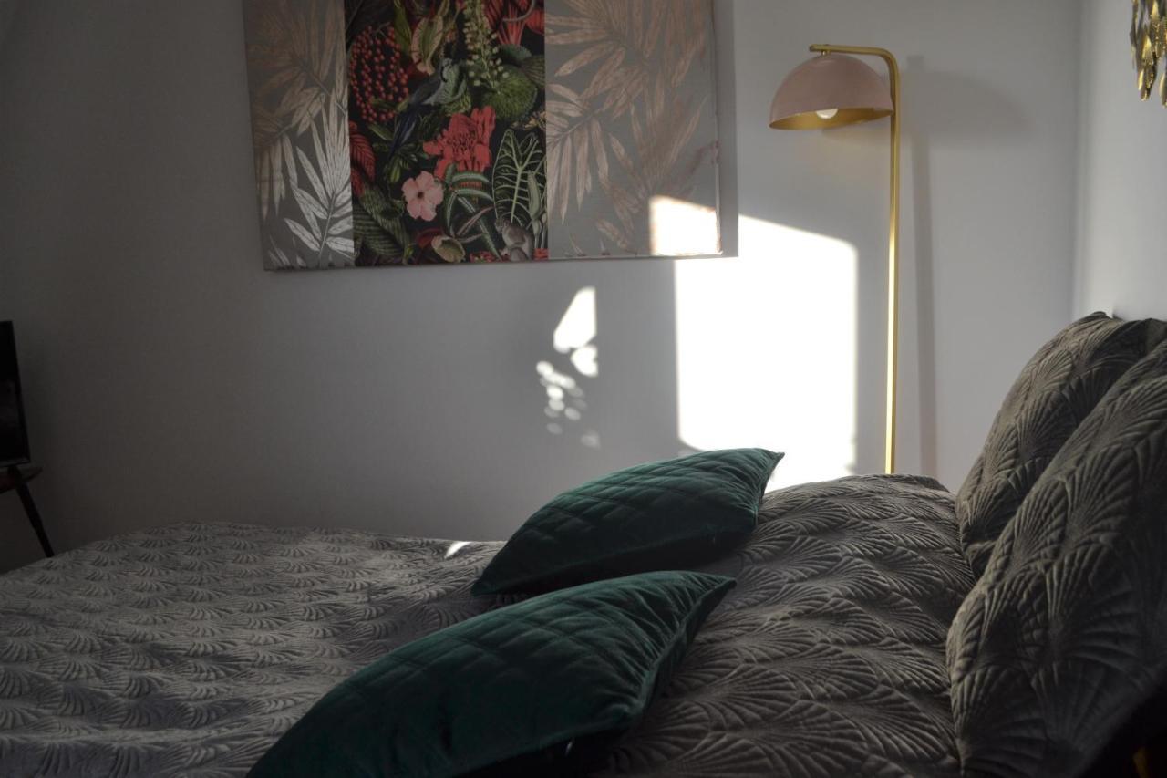 Aloes Studio Kraków Eksteriør billede