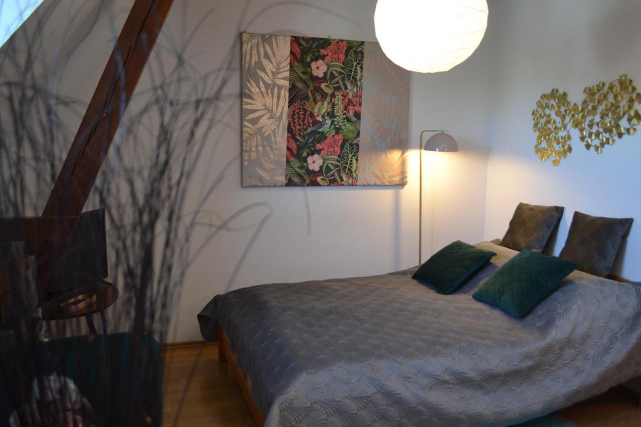 Aloes Studio Kraków Eksteriør billede